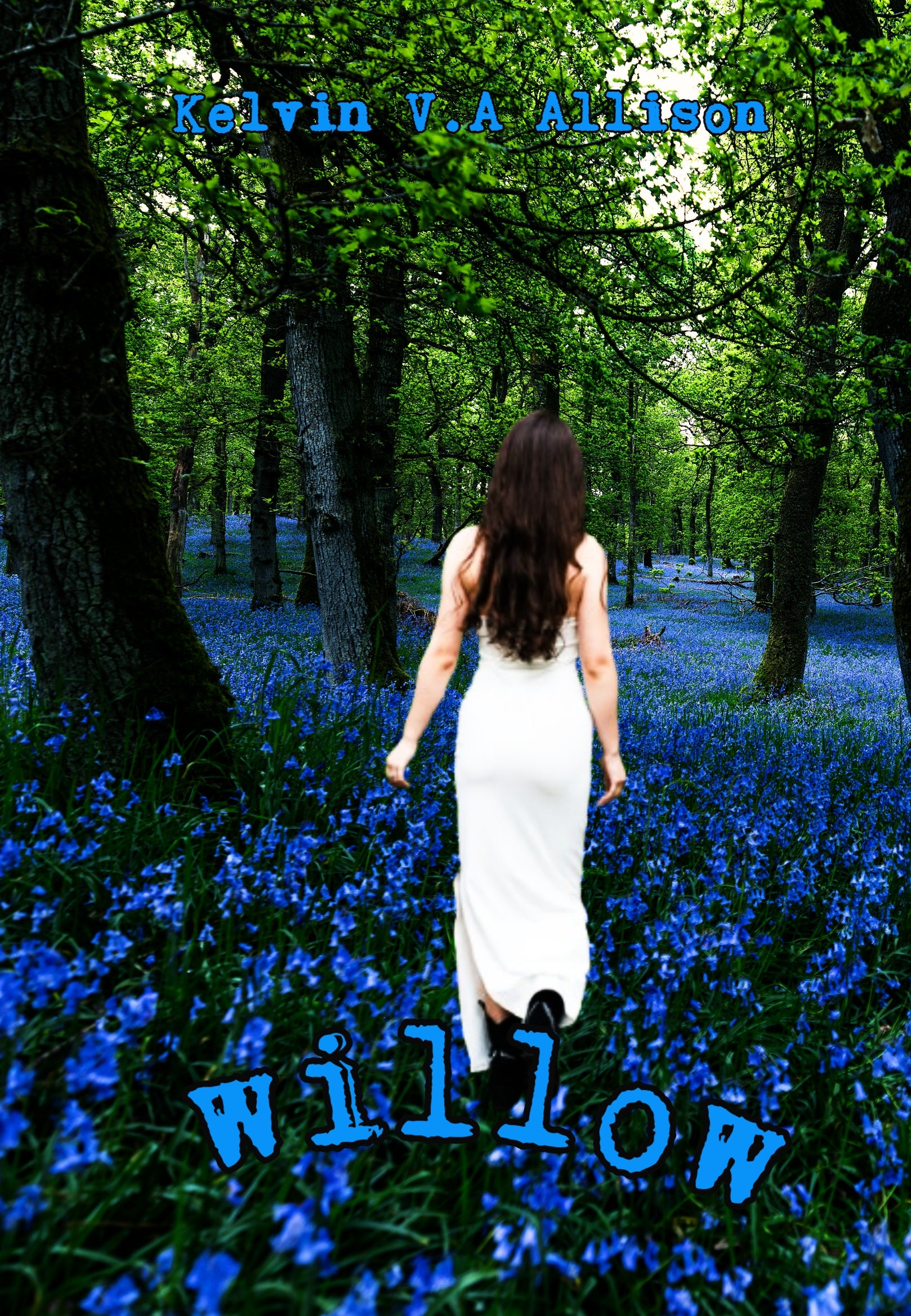 Willow by Kelvin V.A Allison