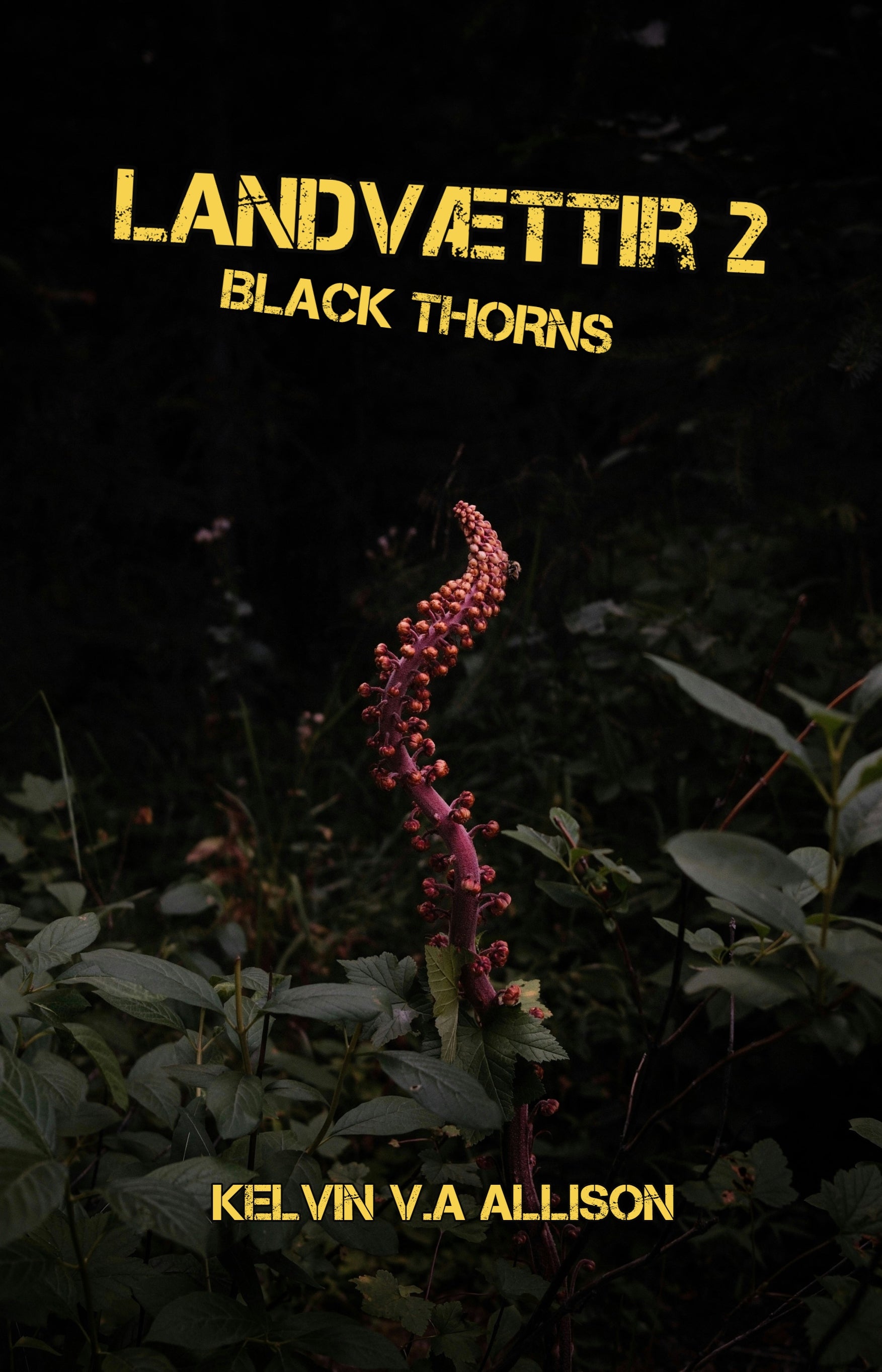 Landvættir 2; Black Thorns by Kelvin V.A Allison